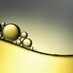 bubble translate官网 软件封面