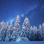 ceruleam官网 资源封面
