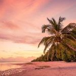 sunrise at paradise beach перевод 资源封面