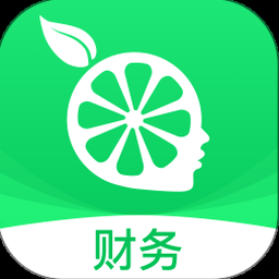 tally marks海外 软件封面