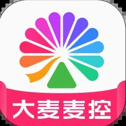 麦登橄榄球下载 资源封面