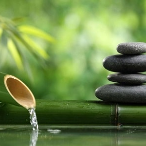 轻松学老挝语软件 软件封面