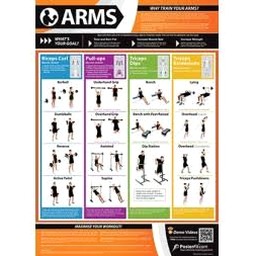 arms神臂斗士 软件封面