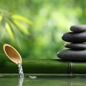 asmr 意思 软件封面