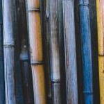 bamboo shoots 软件封面