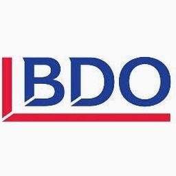 bdo会计师事务所 软件封面