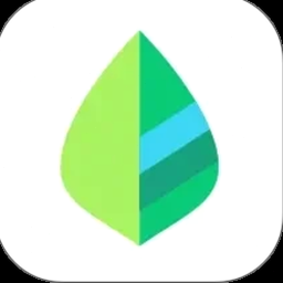 billeslook官网是正品吗 资源封面