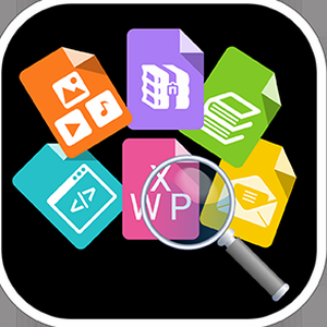 cardfive version 6.3 professional 资源封面