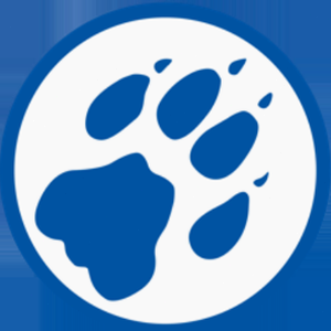 cheetahs音标 资源封面