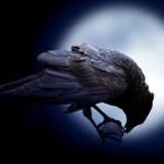 crow 资源封面