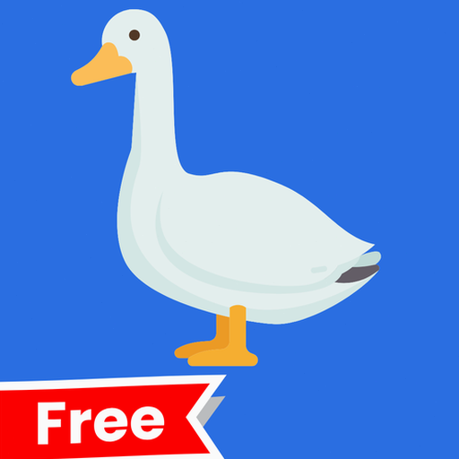 duck 资源封面
