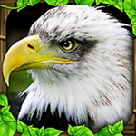 eagle 2fa下载 软件封面