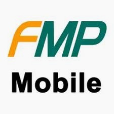 fmp_api_key 软件封面