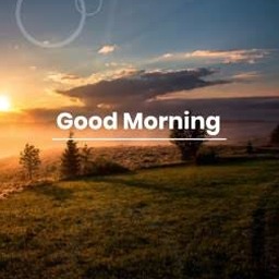 good morning beautiful girl 资源封面