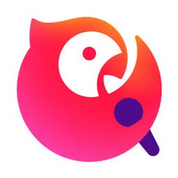 卡拉ok播放器破解 软件封面