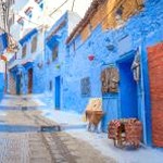 实时街景地图哪个最好用 软件封面