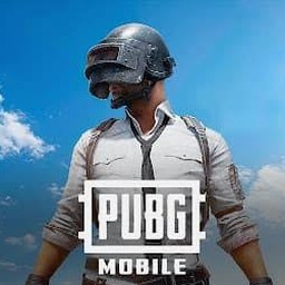 pingmobilelite 软件封面