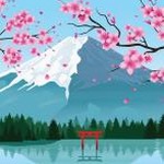 primavera p6 软件封面
