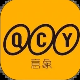 qyresearch inc 软件封面