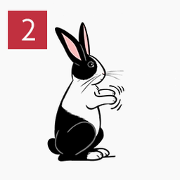 rabbit r1安卓最新 软件封面