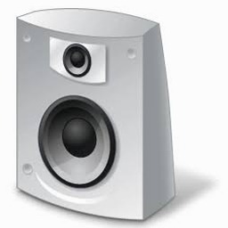 radiosure skins 软件封面