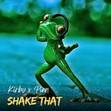 shake that lyrics 软件封面