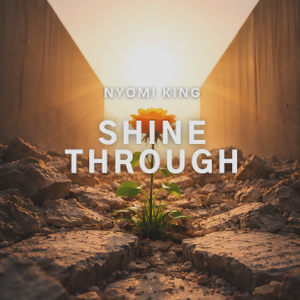 shine音乐网 软件封面