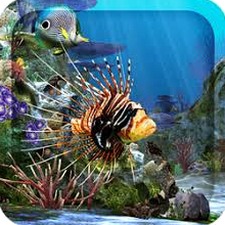 水族馆动态壁纸2025下载稳定版 软件封面